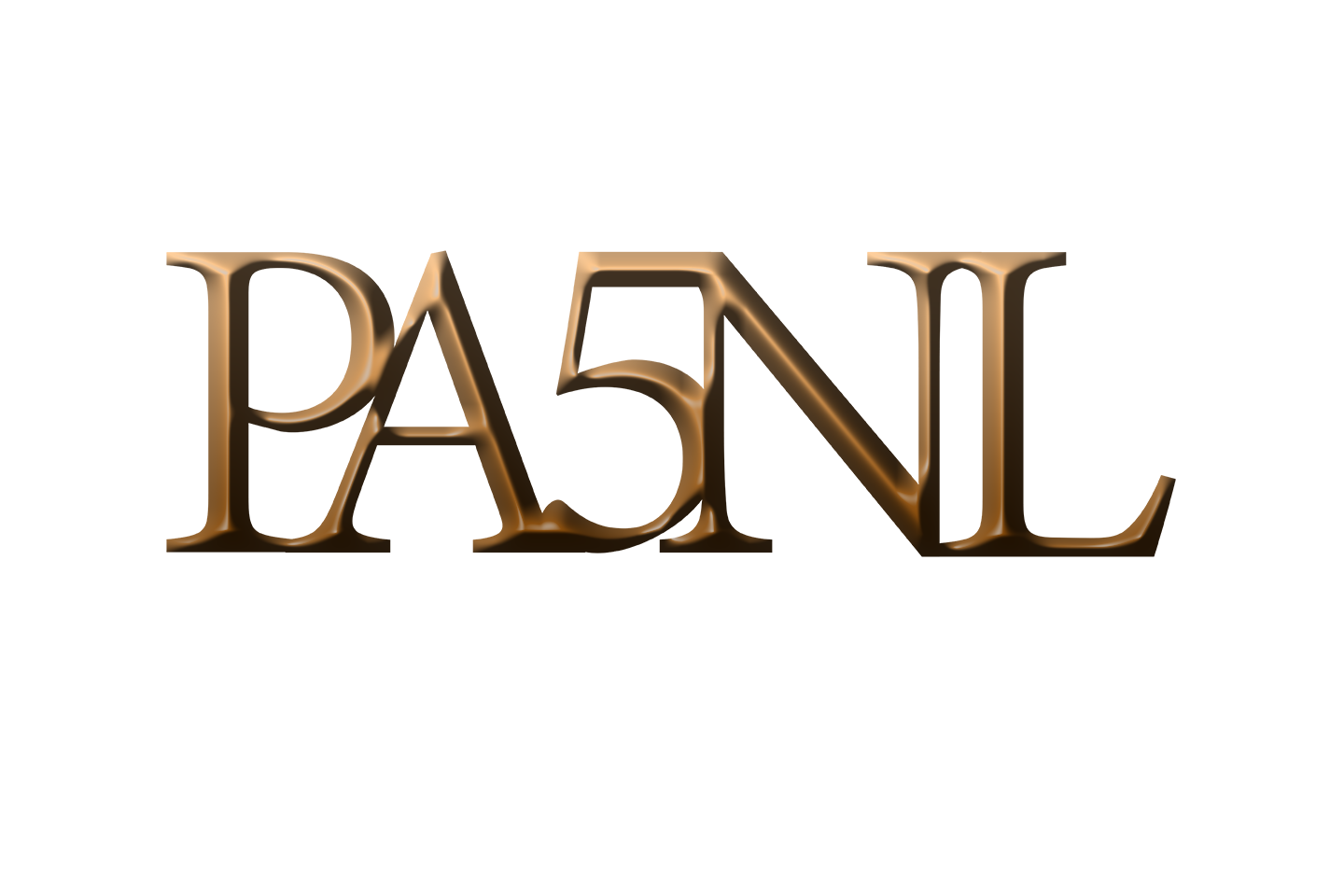 PA5NL Logo